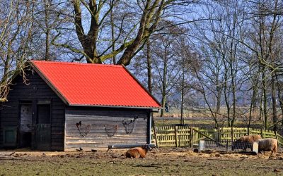 Fine for company and director after employee falls through roof light
